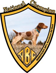 This image has an empty alt attribute; its file name is ABCLogo.jpg